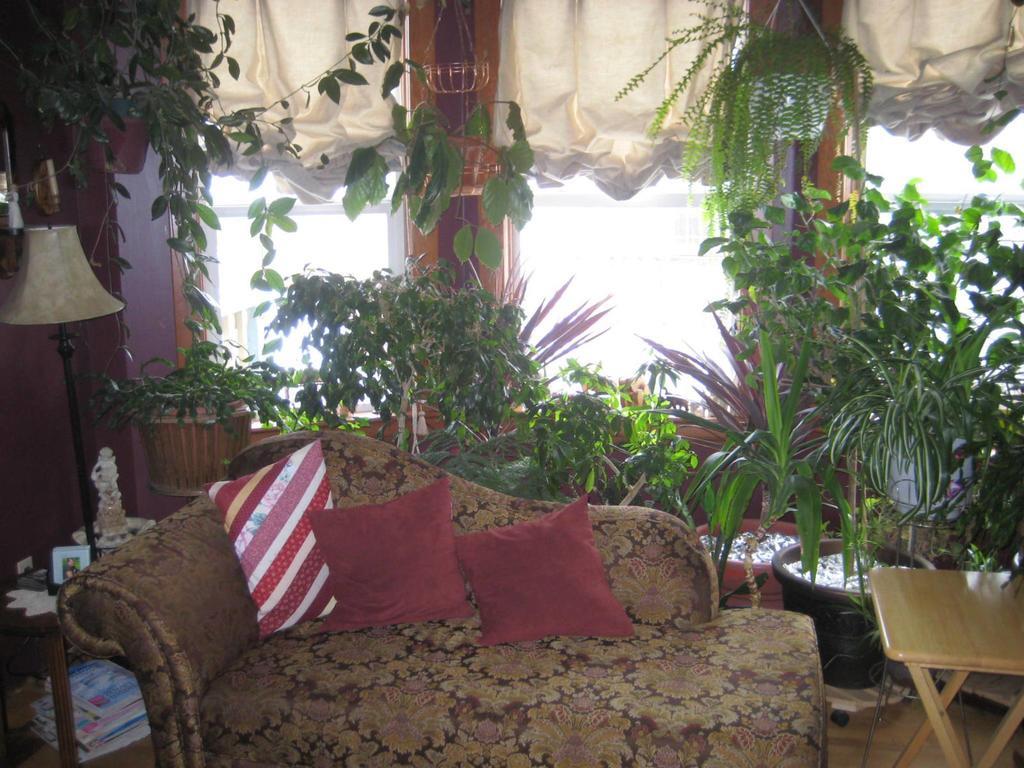 Phoenix House B&B Stettler Esterno foto