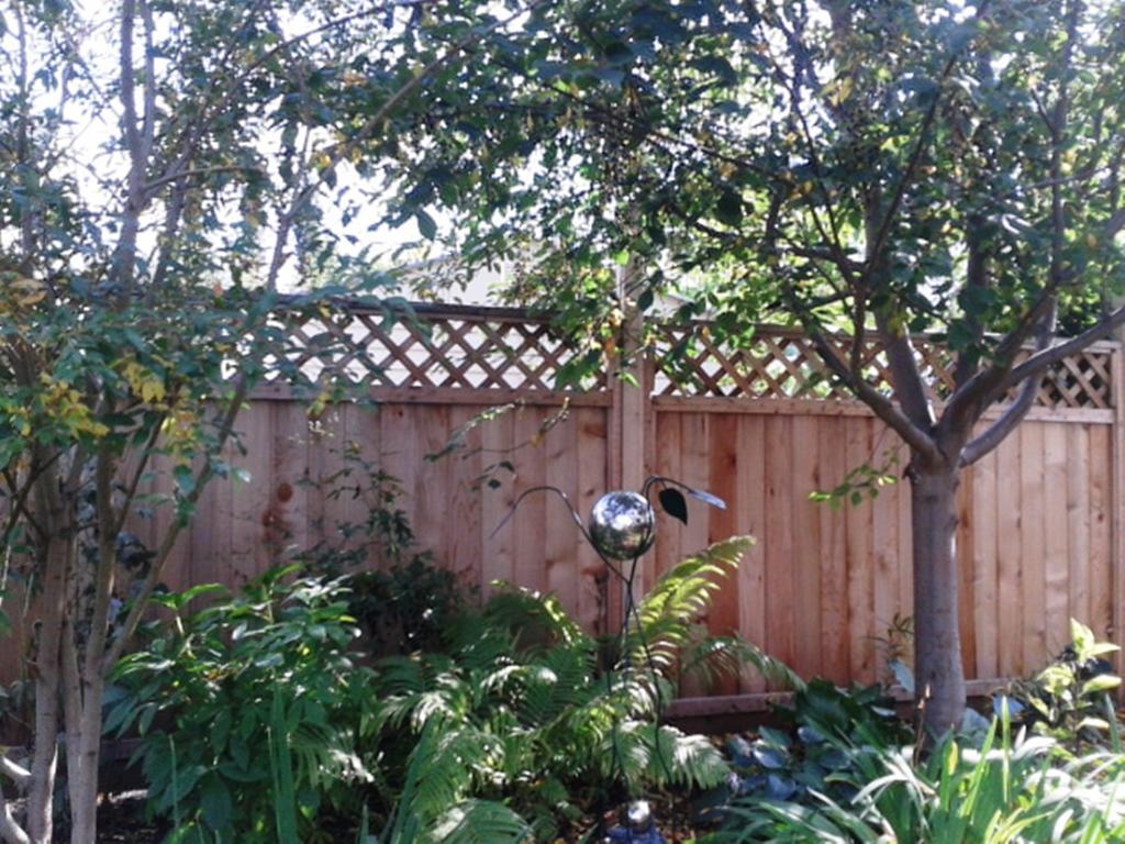 Phoenix House B&B Stettler Esterno foto